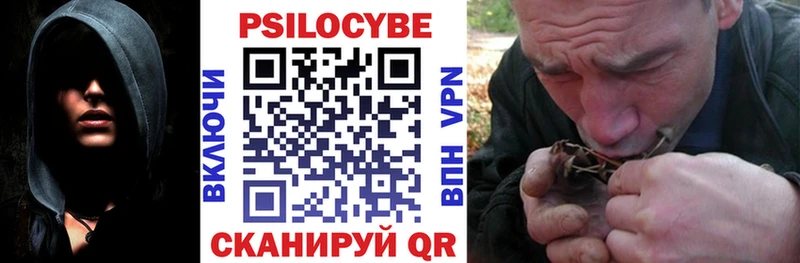 купить  сайты  Гагарин  Псилоцибиновые грибы мухоморы 