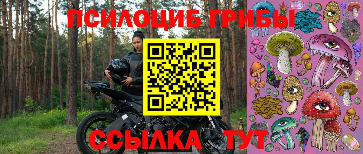 Псилоцибиновые грибы MAGIC MUSHROOMS Гагарин