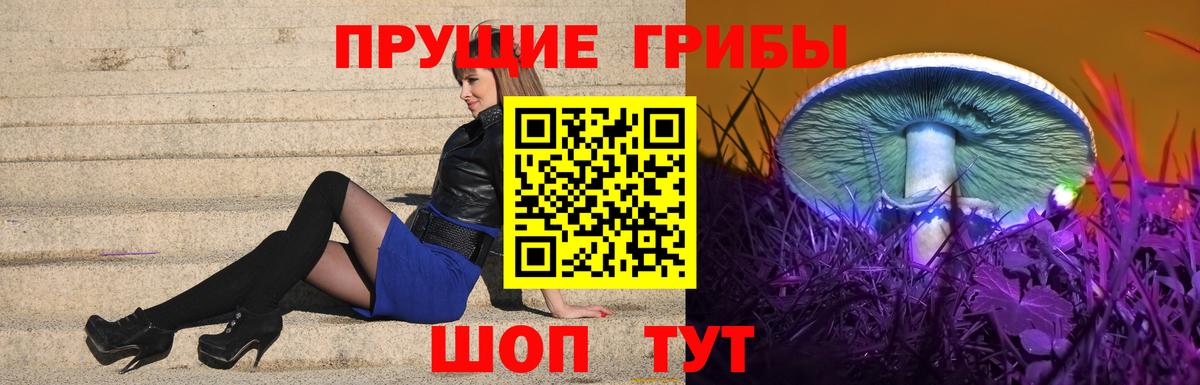 Гагарин  Псилоцибиновые грибы прущие грибы  Вход с VPN 