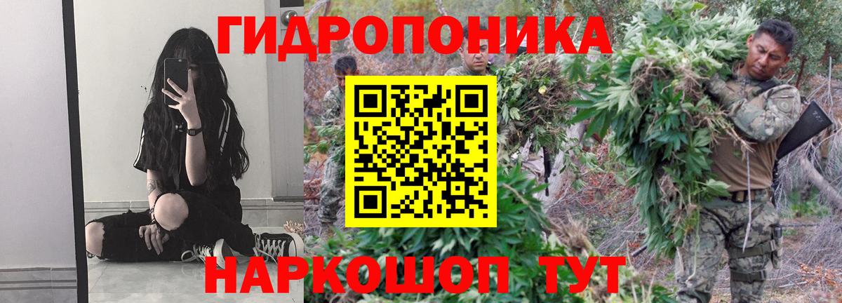 Марихуана OG Kush Гагарин